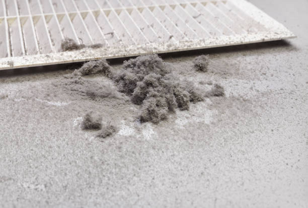 Best Commercial Air Duct Cleaning  in Huguley, AL