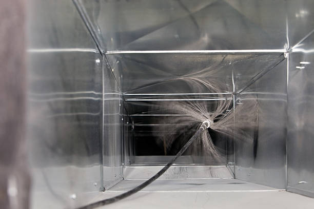 Best Air Duct Mold Removal  in Huguley, AL