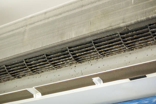 Best Air Duct Cleaning Near Me in Huguley, AL